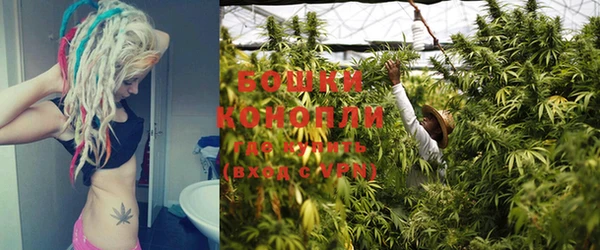 крисы Белокуриха