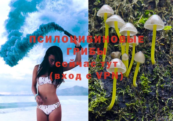 крисы Белокуриха