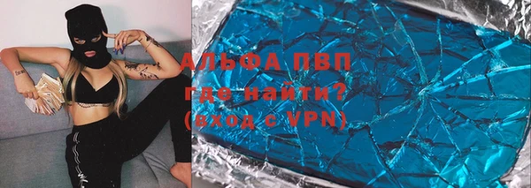 крисы Белокуриха