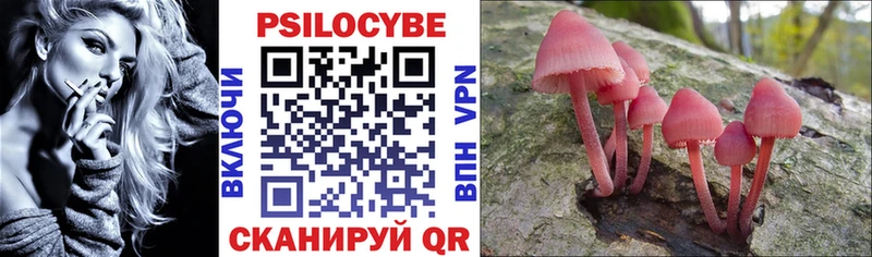 Псилоцибиновые грибы MAGIC MUSHROOMS  купить наркоту  Дагестанские Огни 